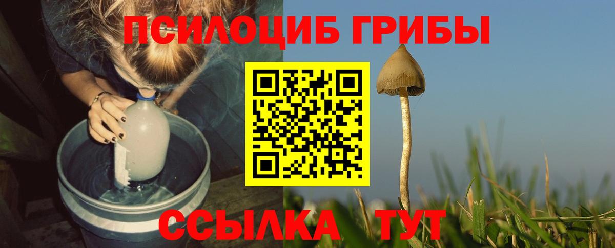 Псилоцибиновые грибы MAGIC MUSHROOMS  Вход с VPN  Щёлково 